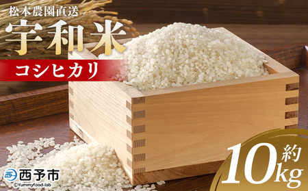 ＜令和7年産 松本農園直送 宇和米（コシヒカリ）約10kg＞ こしひかり 米 コメ こめ 白米 精米 うわまい ウワマイ ご飯 新鮮 10キロ お弁当 朝 昼 夜 国産 特産品 愛媛県 西予市【常温】『2025年9月下旬～12月下旬迄に順次出荷予定』UMT0003