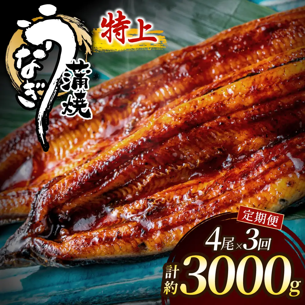 【3回定期便】うなぎ蒲焼き1.0kg以上(250g以上×4尾)【魚住商店】_AM0225-00 うなぎ 鰻 蒲焼 真空パック 福岡県宗像市 宗像市 福岡 宗像