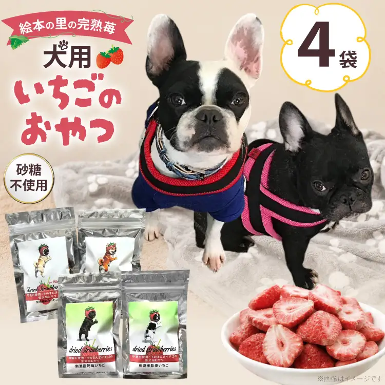ペットフード 犬用のいちごのおやつ ドライ苺 15g 4袋