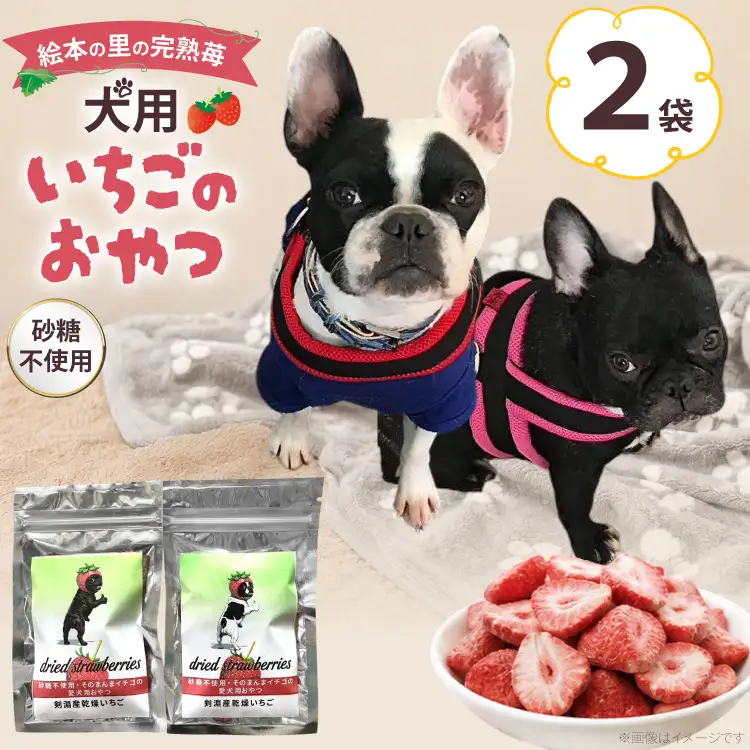 ペットフード 犬用のいちごのおやつ ドライ苺 15g 2袋