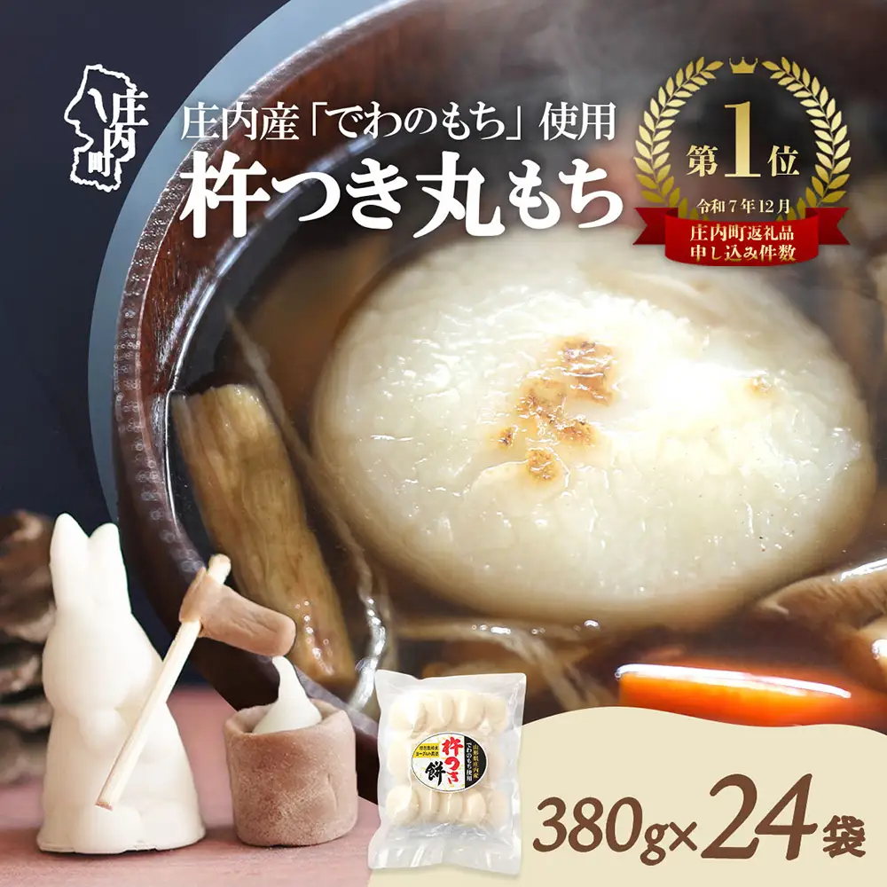 【R8.12月発送】庄内町産 杵つき餅 380g×24袋 約9kg『特別栽培米 でわのもち』使用 先行受付 柔らかく よく伸びる 個包装 小さめ 自家栽培 でわのもち ヨーグルト農法 杵つき 丸もち お餅 丸餅 餅 梅木もち屋