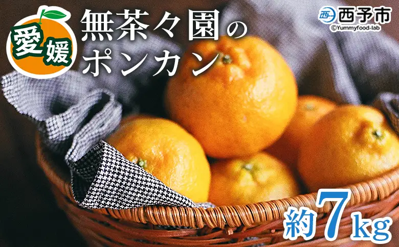 先行予約 ＜無茶々園のポンカン 約7kg＞ 果物 くだもの フルーツ ぽんかん みかん 蜜柑 柑橘類 かんきつ 旬 甘い 濃厚 新鮮 期間限定 季節限定 産地直送 特産品 愛媛県 西予市 【常温】『2027年1月～2月中旬に順次出荷予定』AMC0021