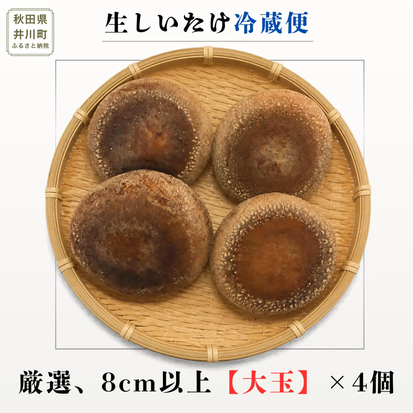 生しいたけ 厳選大玉 4個  菌床 しいたけ シイタケ 高級
