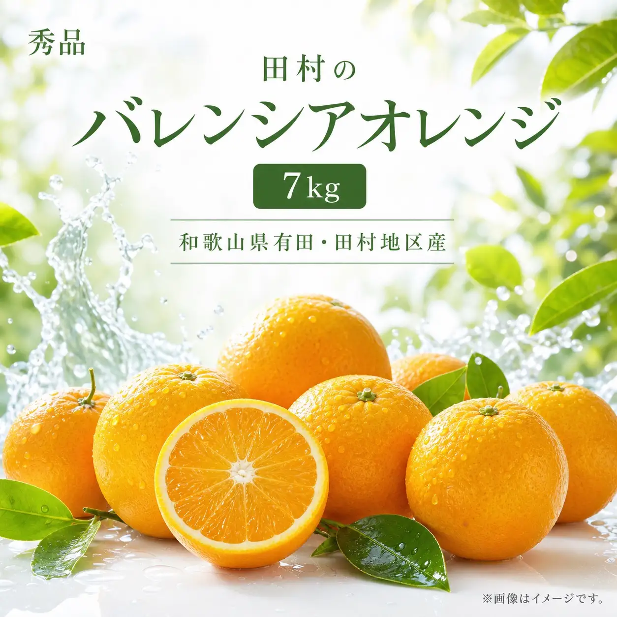 秀品　田村のバレンシアオレンジ　約7kg　※2027年6月下旬頃～7月上旬頃 順次発送予定【uot872A】