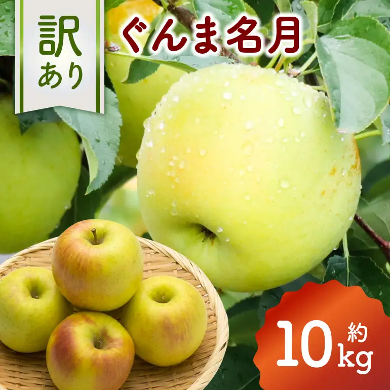 【2026年11月上旬-中旬発送予定】訳あり　りんご（ぐんま名月）約10㎏