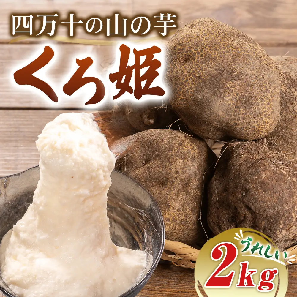 【予約受付】 すり下ろすとわかる粘りと白さ！四万十の山の芋・くろ姫　2キロ／Org-08 山芋 とろろ 長いも 野菜