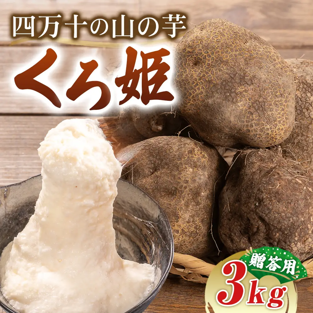 【予約受付】 すり下ろすとわかる粘りと白さ！四万十の山の芋・くろ姫　贈答用3キロ／Org-09 山芋 とろろ 長いも 野菜