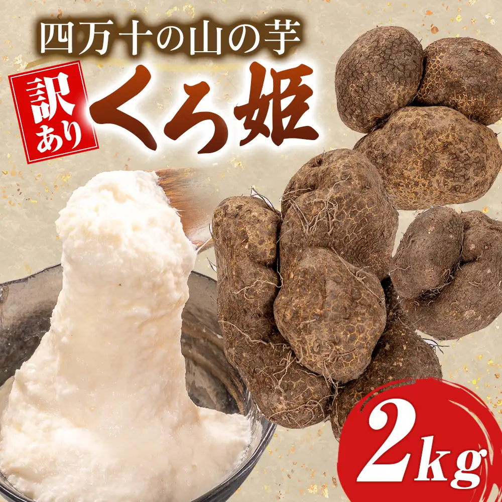 【予約受付】 すり下ろすとわかる粘りと白さ！四万十の山の芋・くろ姫　訳あり　2キロ／Org-10 山芋 とろろ 長いも 野菜