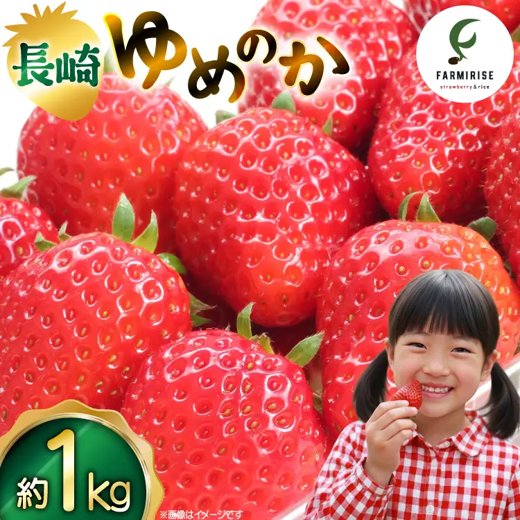 いちご 大粒 先行予約 長崎 ゆめのか 約 1kg