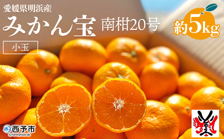 愛媛県明浜産 みかん（宝）５kg ATI0025