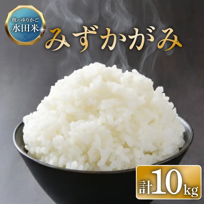 【令和8年産】 環境こだわり栽培 みずかがみ 10kg ひこにゃん米 新米 5kg×2袋 白米 米 コメ お米 ご飯 ごはん 滋賀 彦根