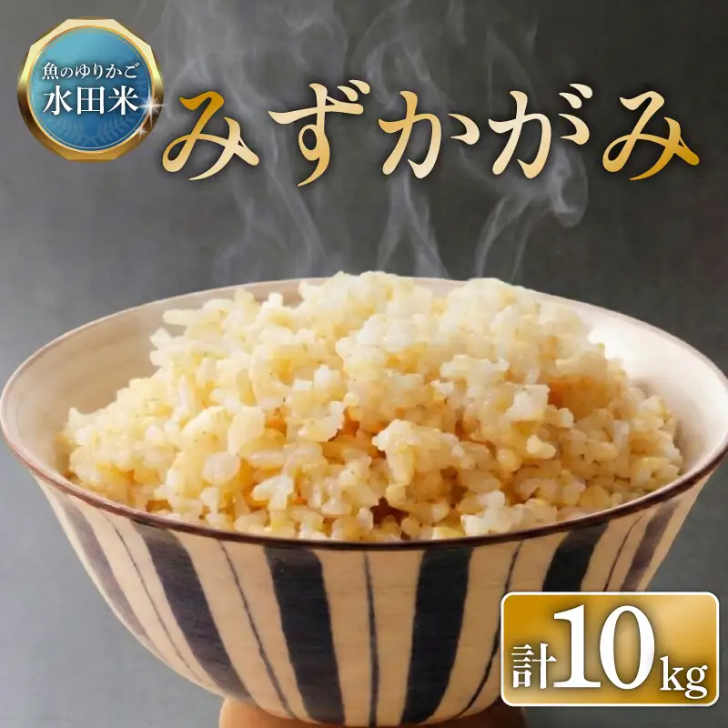 【令和8年産】 環境こだわり栽培 みずかがみ 玄米 10kg ひこにゃん米 米 こめ 令和8年 新米 玄米ご飯 滋賀 彦根