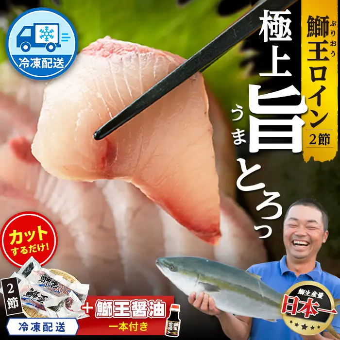 【冷凍】【10月以降順次発送】【切って盛るだけ】『旅サラダ』で紹介ぶりの王様「 鰤王 」 ロイン 2節 (約1.0kg～)【鰤王しょう油付】 半身 産地直送 新鮮 旨味が抜群の 長島町 特産品 ブランド ぶり 鰤 ブリ 切り身 真空 刺身 ぶりしゃぶ しゃぶしゃぶ 魚 魚介 人気 ランキング 【JFA】jfa-1678B
