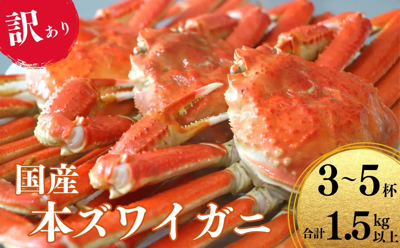 【訳あり・先行予約】本ズワイガニ 3～5杯 計1.5㎏以上 姿 糸魚川産 浜茹で 鮮度が命！茹でたて直送 日本海 磯貝鮮魚店 ずわいがに かに 蟹 新潟 新鮮 ボイル 茹でガニ カニ かに 新潟県 糸魚川市 訳アリ 蟹 カニ