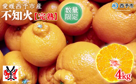 愛媛県明浜産 不知火【完熟】（4.0kg） ATI0023