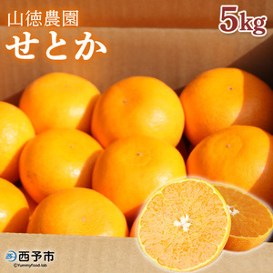 山徳農園 西宇和産せとか 5kg MYT0005
