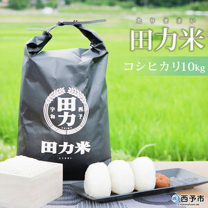 ＜令和7年産 田力米 10kg コシヒカリ＞お米 こめ コメ 白米 精米 こしひかり ご飯 ごはん 特産品 産地直送 田力本願 愛媛県 西予市【常温】『2025年9月下旬より順次出荷予定』UTH0007
