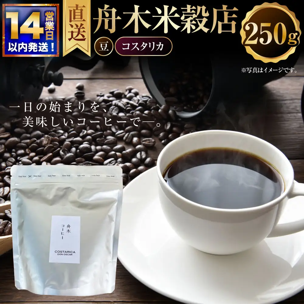 【14営業日以内に発送】 豆 【直送】 舟木米穀店 コスタリカ 250g コーヒー 珈琲 COFFEE coffee コーヒー豆 スペシャルティコーヒー 自家焙煎 焙煎