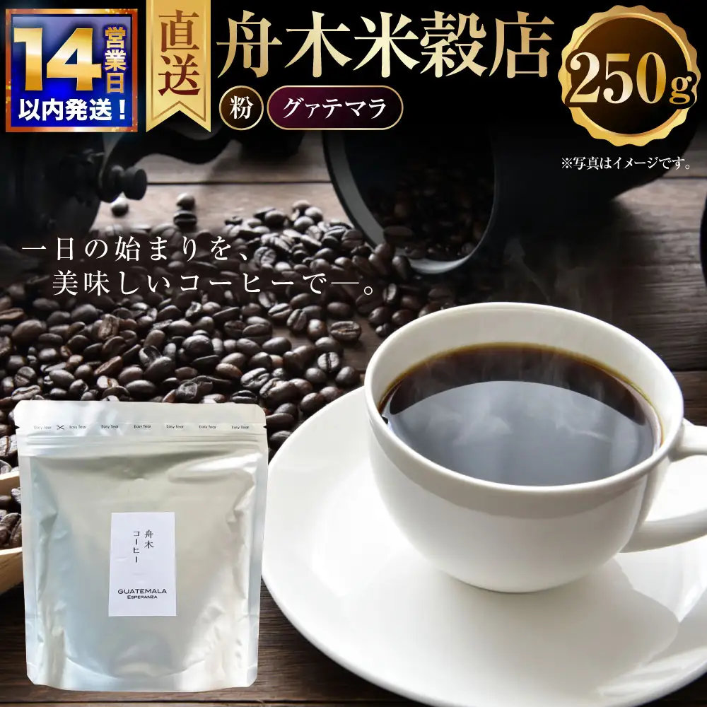 【14営業日以内に発送】 粉 【直送】 舟木米穀店 グァテマラ 250g コーヒー 珈琲 COFFEE coffee コーヒー粉 スペシャルティコーヒー 自家焙煎 焙煎