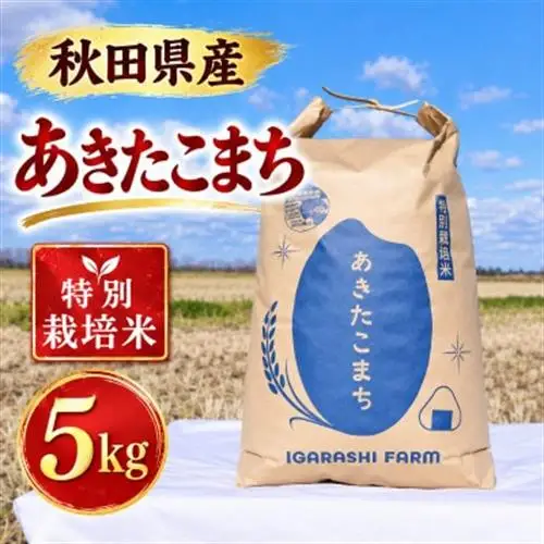 特別栽培米 あきたこまち 白米 5kg【配送不可地域：離島・沖縄県】【1777394】