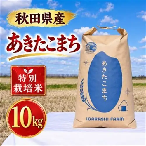 特別栽培米 あきたこまち 白米 10kg【配送不可地域：離島・沖縄県】【1777395】
