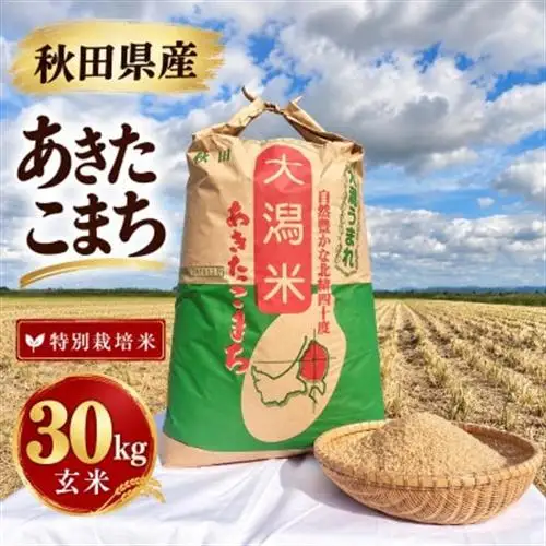 特別栽培米 あきたこまち 玄米 30kg【配送不可地域：離島・沖縄県】【1777396】