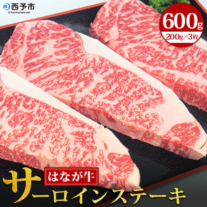 熟成肉はなが牛 サーロインステーキ UYB0006