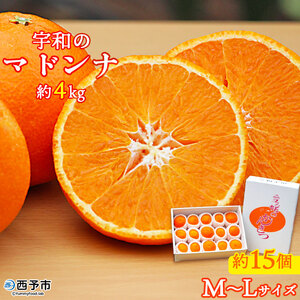 宇和のマドンナ M～L寸（数量限定） UNE0006