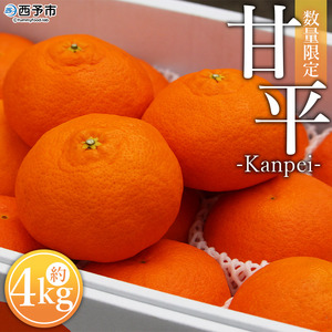 ＜愛媛県西予市産 甘平 約4kg＞ フルーツ 果物 柑橘 かんぺい みかん ミカン 蜜柑 贈答用 化粧箱 ギフト対応 南予園芸 特産品 愛媛県 西予市 【常温】『2026年2月上旬～3月下旬迄に順次出荷予定』UNE0008