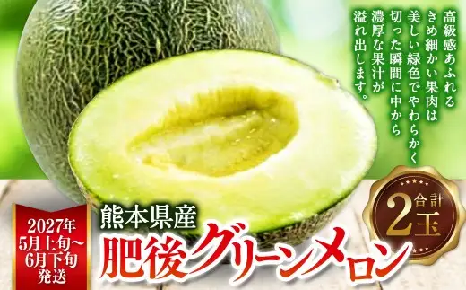 熊本県産 肥後グリーンメロン 2玉  メロン くだもの 果物 フルーツ 【2027年5月上旬から6月下旬発送予定】