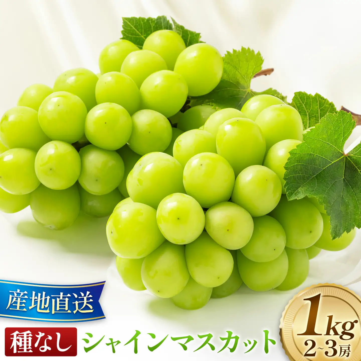種なし シャインマスカット 1kg (2～3房) 小林農園