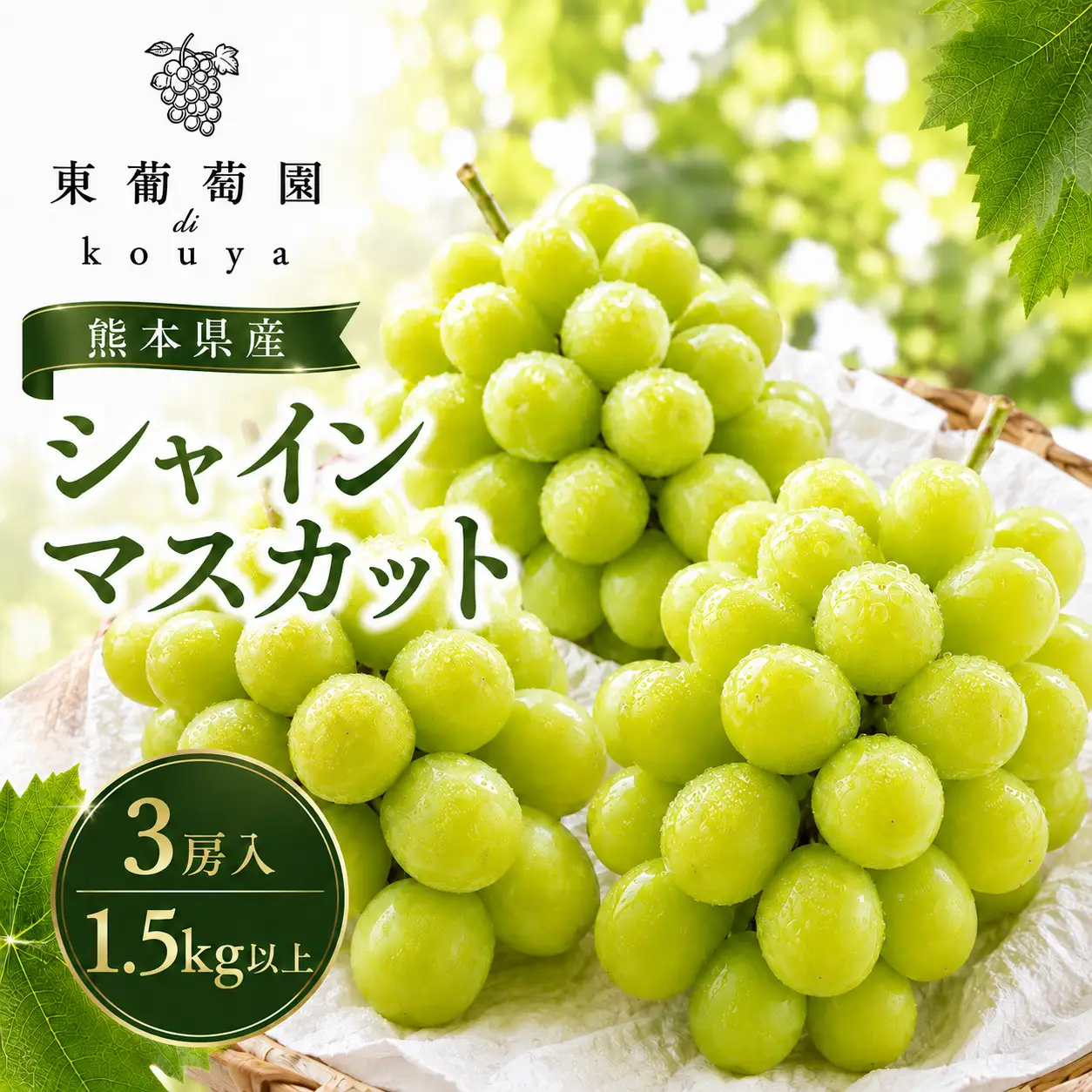 熊本県産　東ぶどう園　シャインマスカット　3房（1.5kg以上）