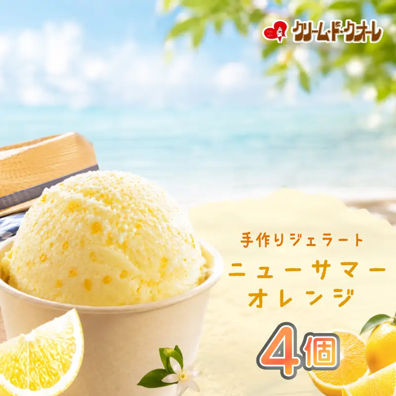 ニューサマーオレンジ ジェラート 4個 オレンジ