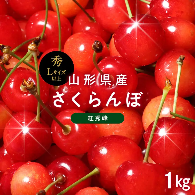 FYN6-625 ≪2027年先行予約≫山形県産 さくらんぼ 紅秀峰 1kg(500g×2) 秀品 L以上 バラパック詰め 2027年6月中旬から順次発送 果物 くだもの フルーツ サクランボ チェリー 贈答 贈り物 ギフト プレゼント 自宅 家庭 産地直送 山形県 西川町 月山