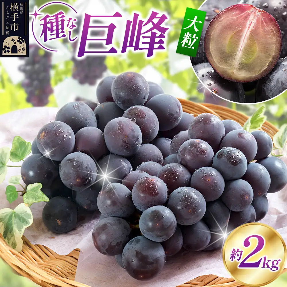 濃甘な完熟葡萄 横手市大沢地区産 旬な種無し大粒品種 巨峰  約2kg フルーツ 果物 秋田