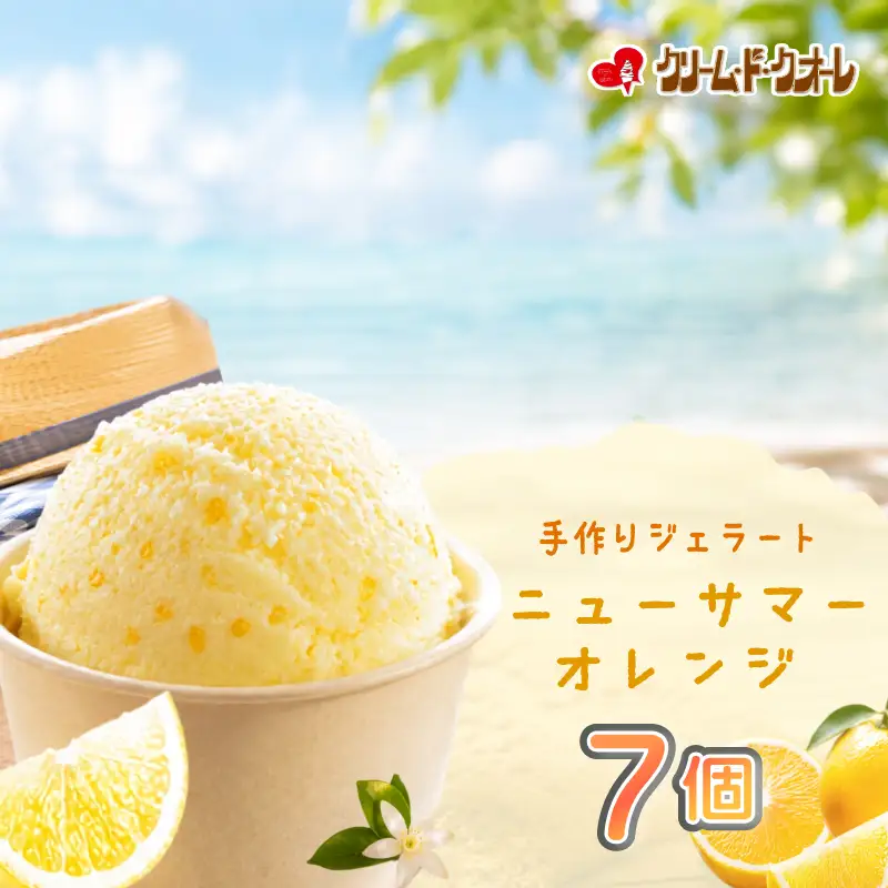 ニューサマーオレンジ ジェラート 7個 オレンジ