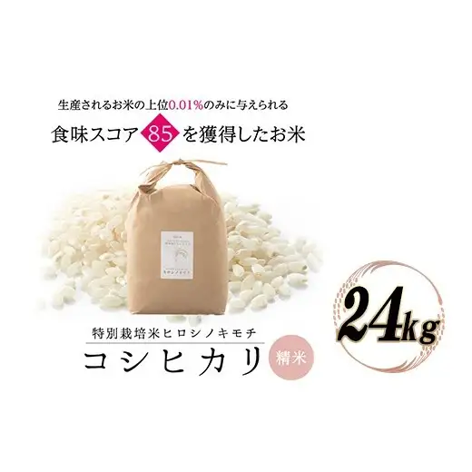 令和8年度　新米 特別栽培米 コシヒカリ ヒロシノキモチ 精米 24kg ブランド米 銘柄米 国産 米 お米 日本米 ギフト 贈り物 備蓄 防災 食品 陽咲玲 はるざれ F6T-1056