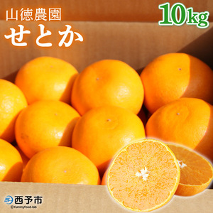 山徳農園 西宇和産せとか 10kg MYT0006