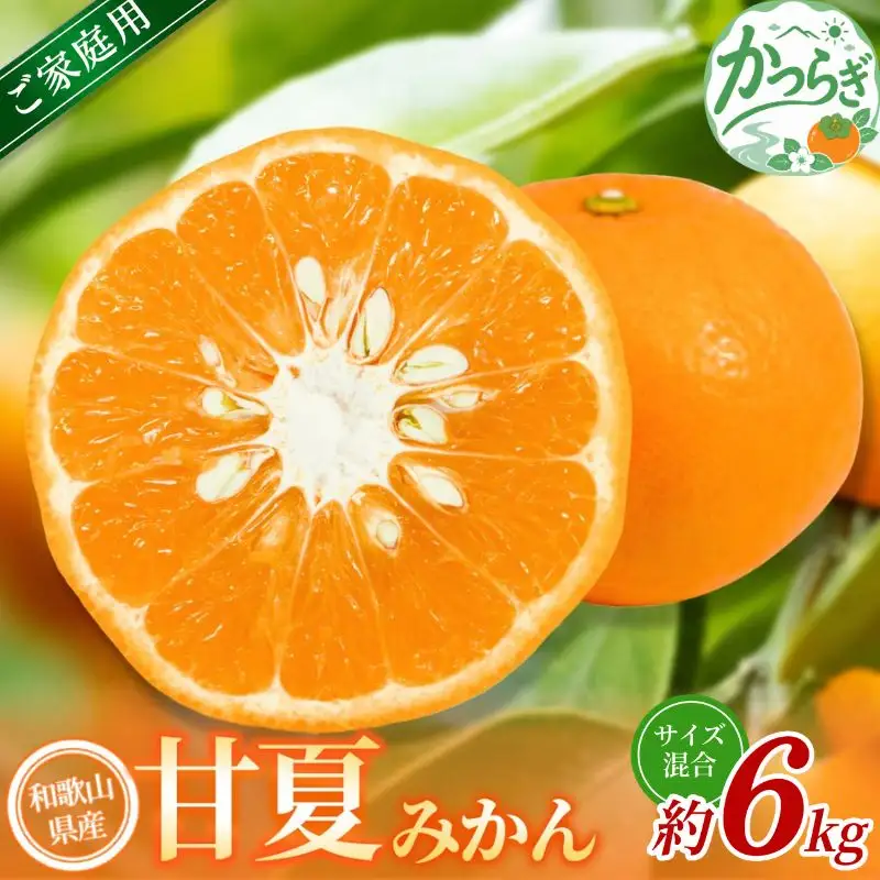 【家庭用】 森本農園の手選別 甘夏みかん 約6kg 和歌山県産 サイズ混合 【北海道・沖縄・離島配送不可】【2027年4月上旬～5月中旬頃に順次発送】【BV-mrmt141】