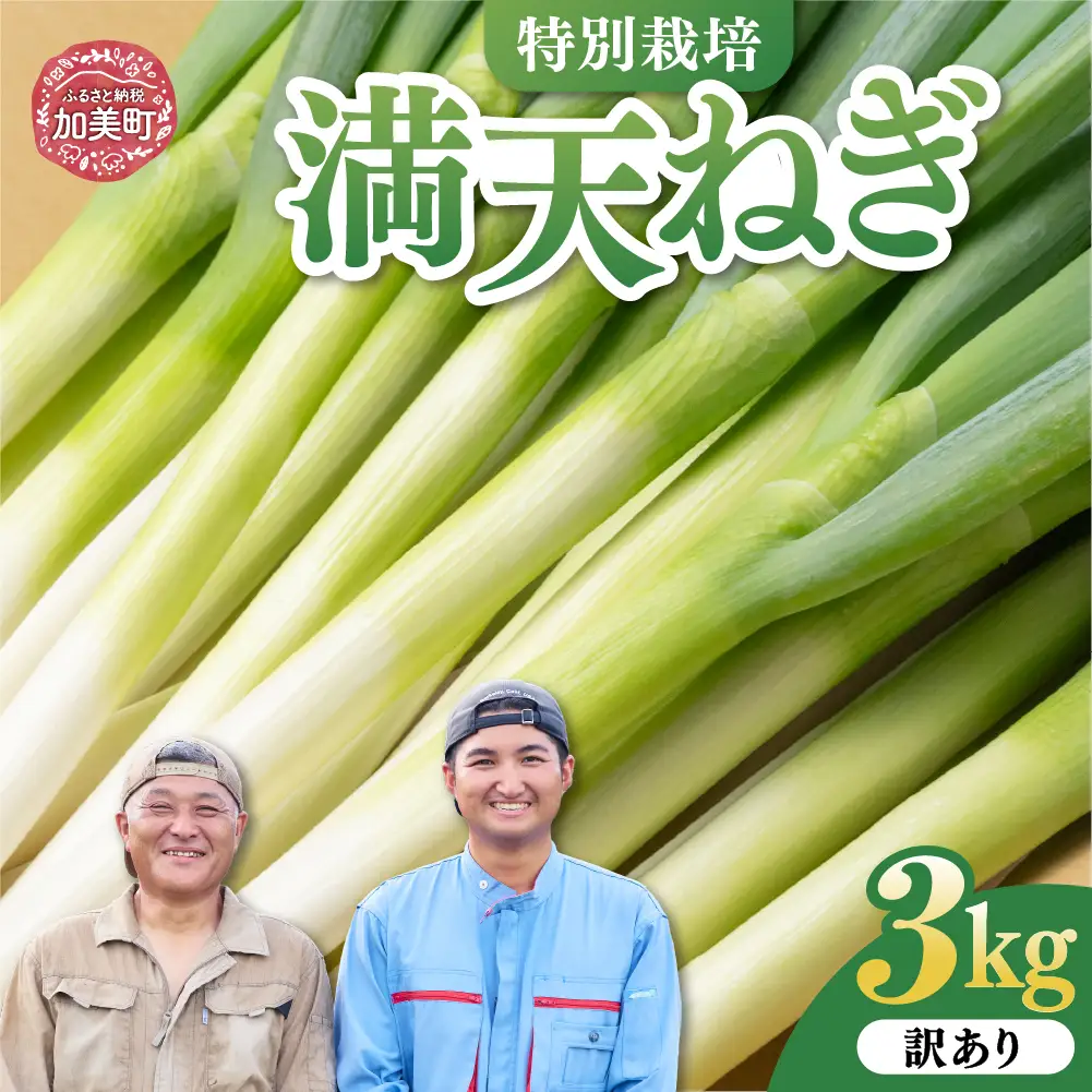 【先行予約】訳あり 長ネギ3kg ネギ