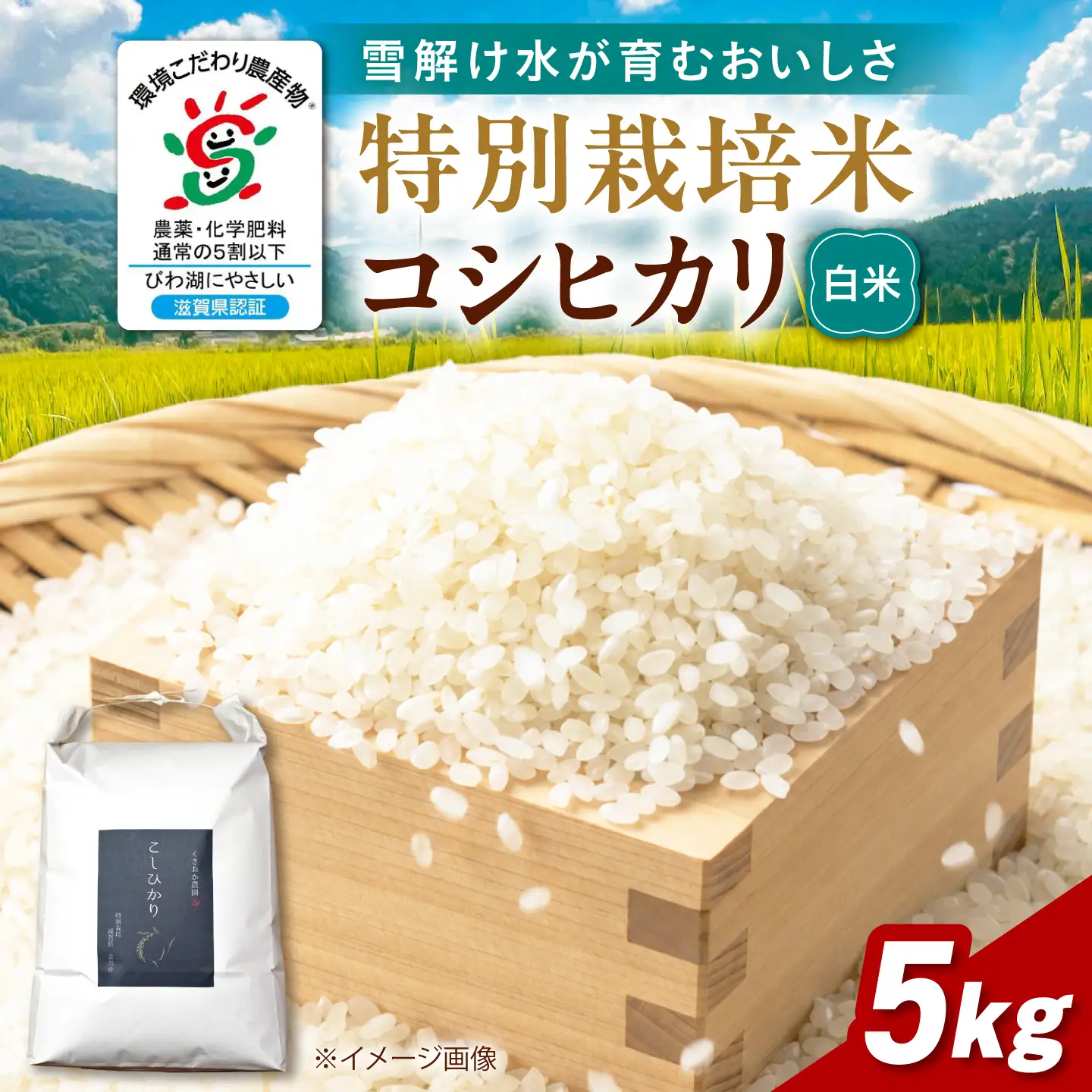 白米 特別栽培米コシヒカリ5kg[AQEB002] 白米