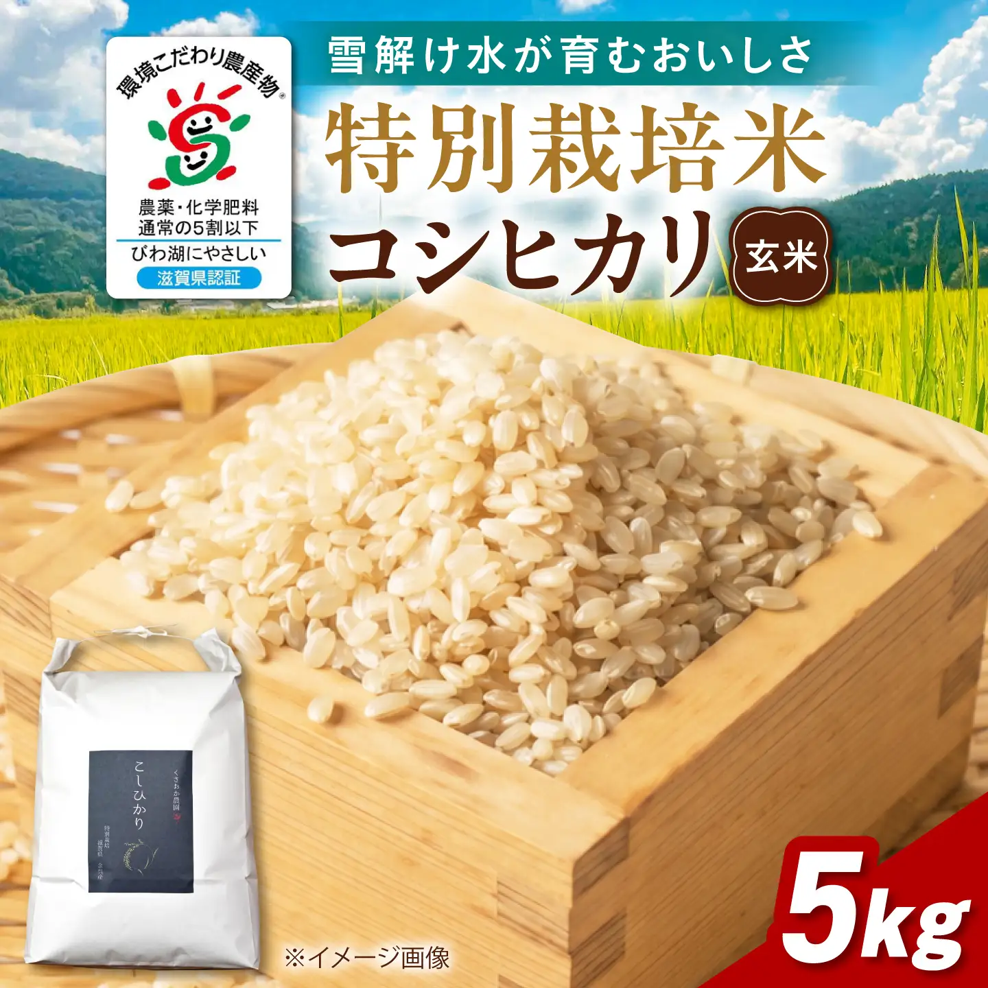 先行予約＞特別栽培米コシヒカリ5kg 玄米[AQEB005] | 滋賀県長浜市