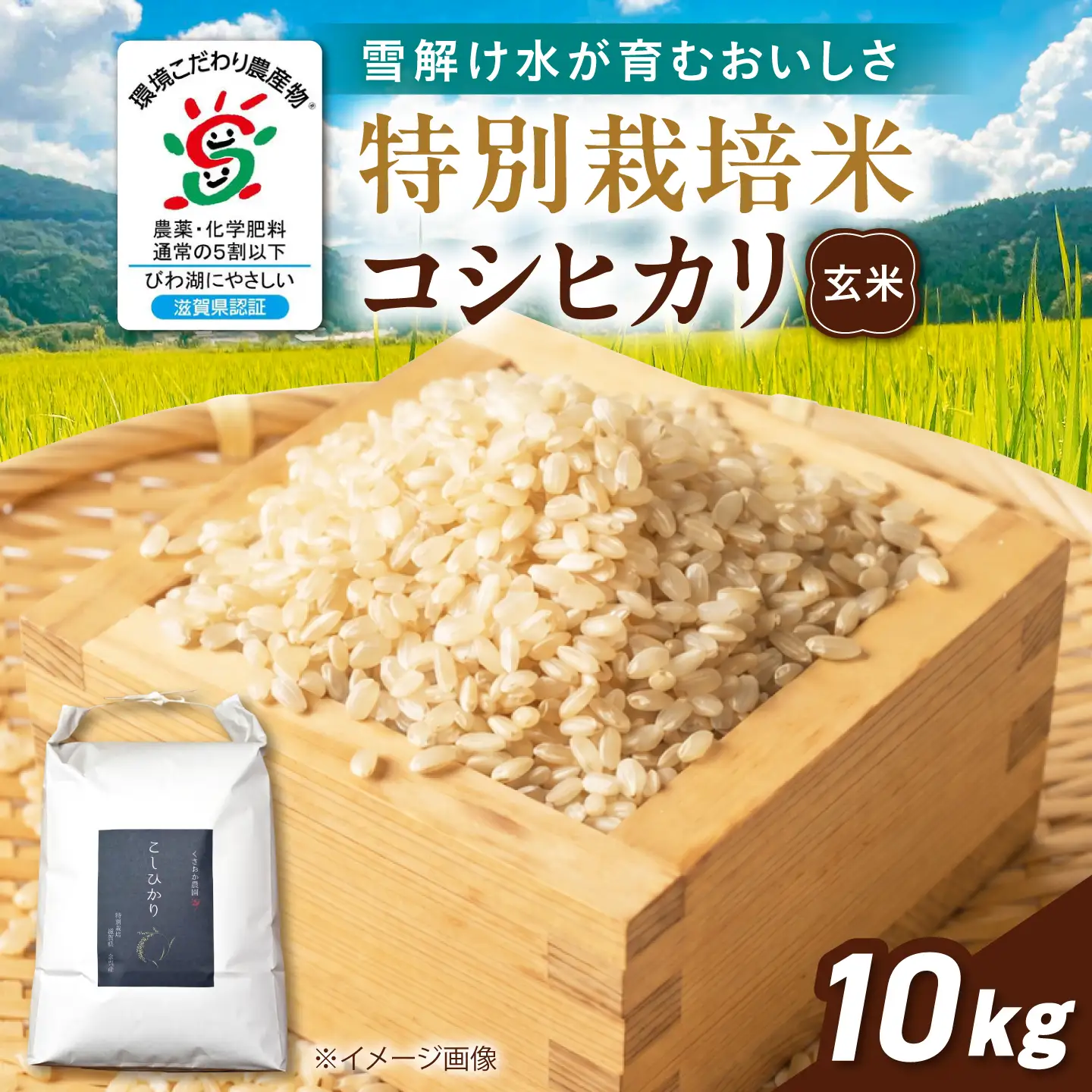 特別栽培米コシヒカリ10kg 玄米 滋賀県長浜市/くさおか農園[AQEB006