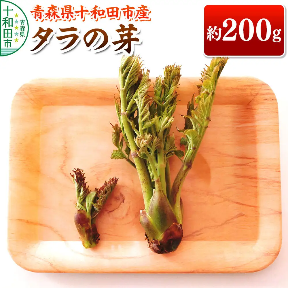 【2027年4月下旬発送・先行受付】山菜 タラの芽 約200g 青森県十和田市産