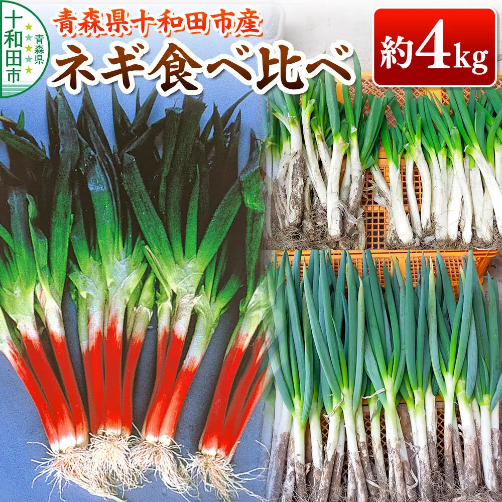 【11月中旬発送・先行受付】ネギ食べ比べ 約4kg 青森県十和田市産
