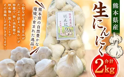 熊本県産 生にんにく 2kg 【2026年10月下旬から2027年3月下旬発送予定】  にんにく ニンニク 生ニンニク 野菜 やさい 熊本県 常温