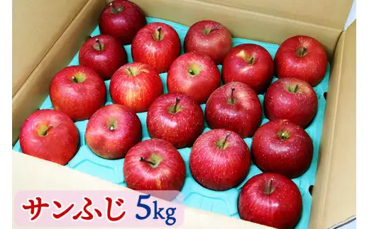 りんご サンふじ 約5kg ( 18個入 ) 【2026年12月上旬より順次発送予定】｜ りんご リンゴ 林檎 果物 フルーツ サンふじ