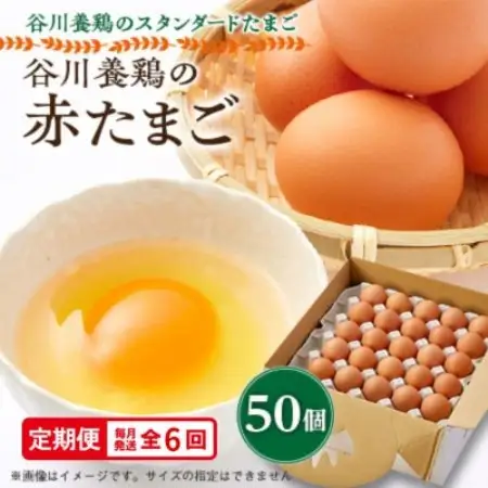 【毎月定期便】計300個【生みたて濃厚】谷川養鶏の赤たまご50ヶ入り(※サイズ指定できません)全6回【配送不可地域：離島】【4092229】