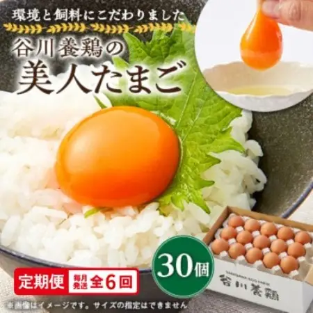 【毎月定期便】計180個【生みたて濃厚】谷川養鶏の美人たまご30ヶ入り　※サイズ指定できません全6回【配送不可地域：離島】【4092243】
