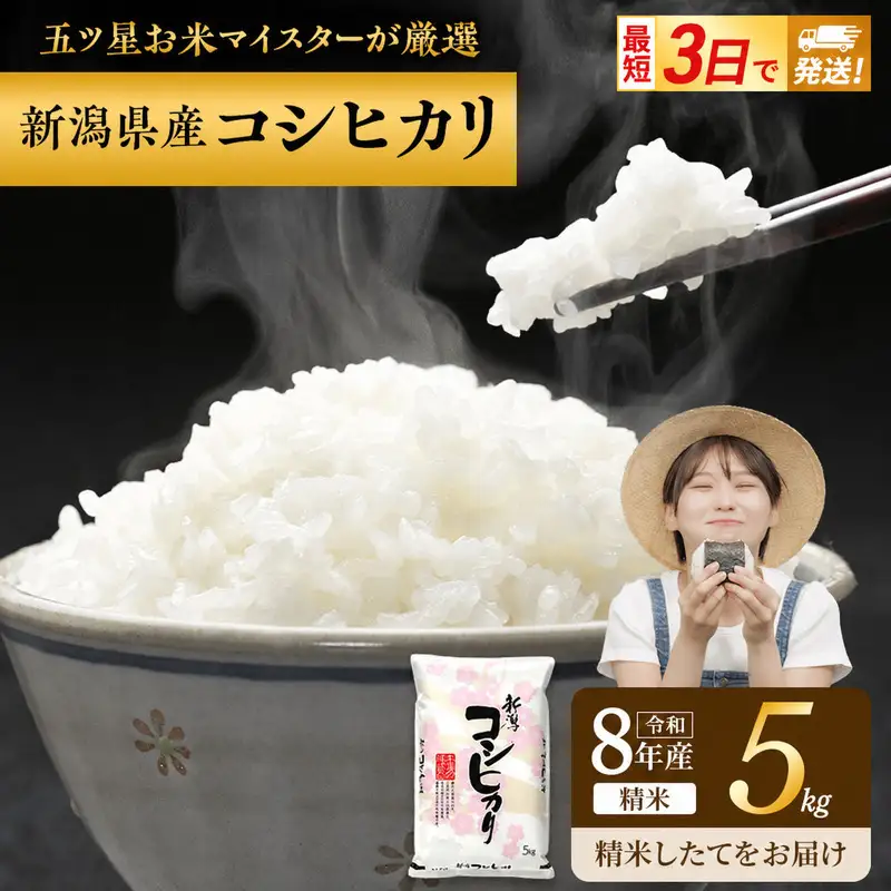 R8年産 新潟県産 コシヒカリ  5kg 新潟県 新潟市産 令和8年産 お米 精米 米 ご飯 送料無料